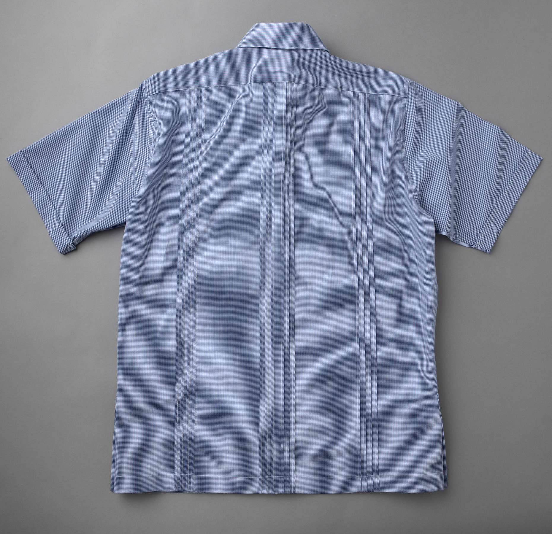 Back showing center and side pleats