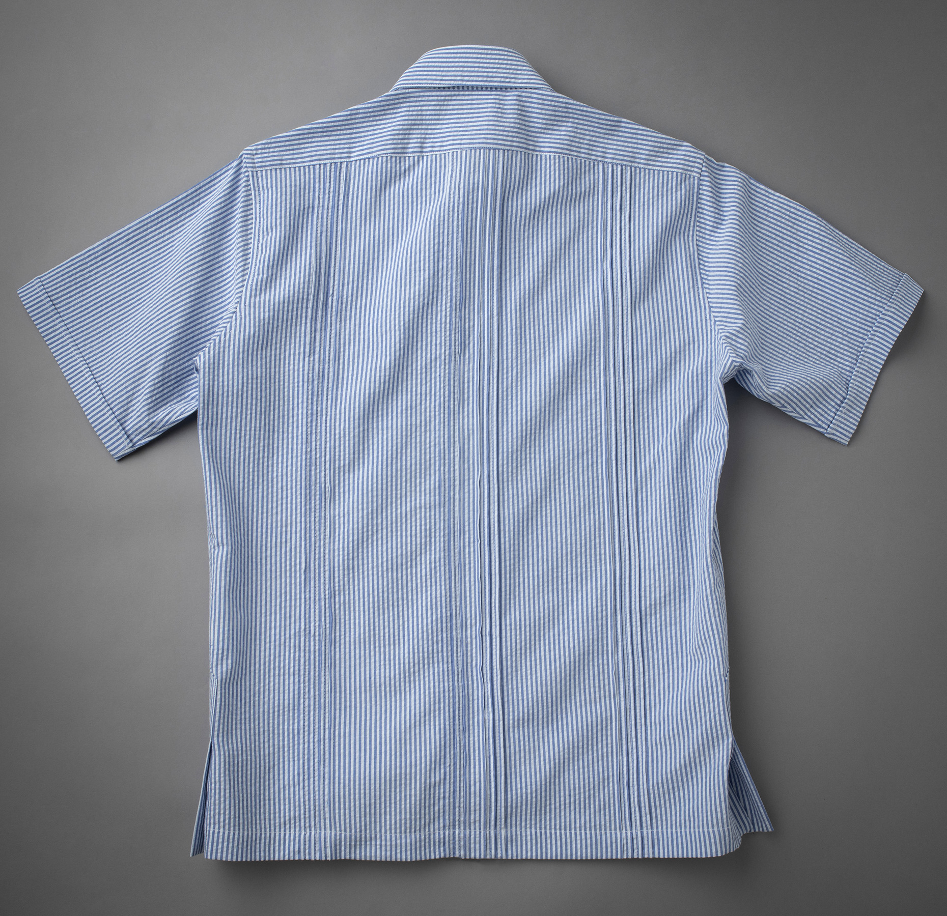 Back showing center and side pleats