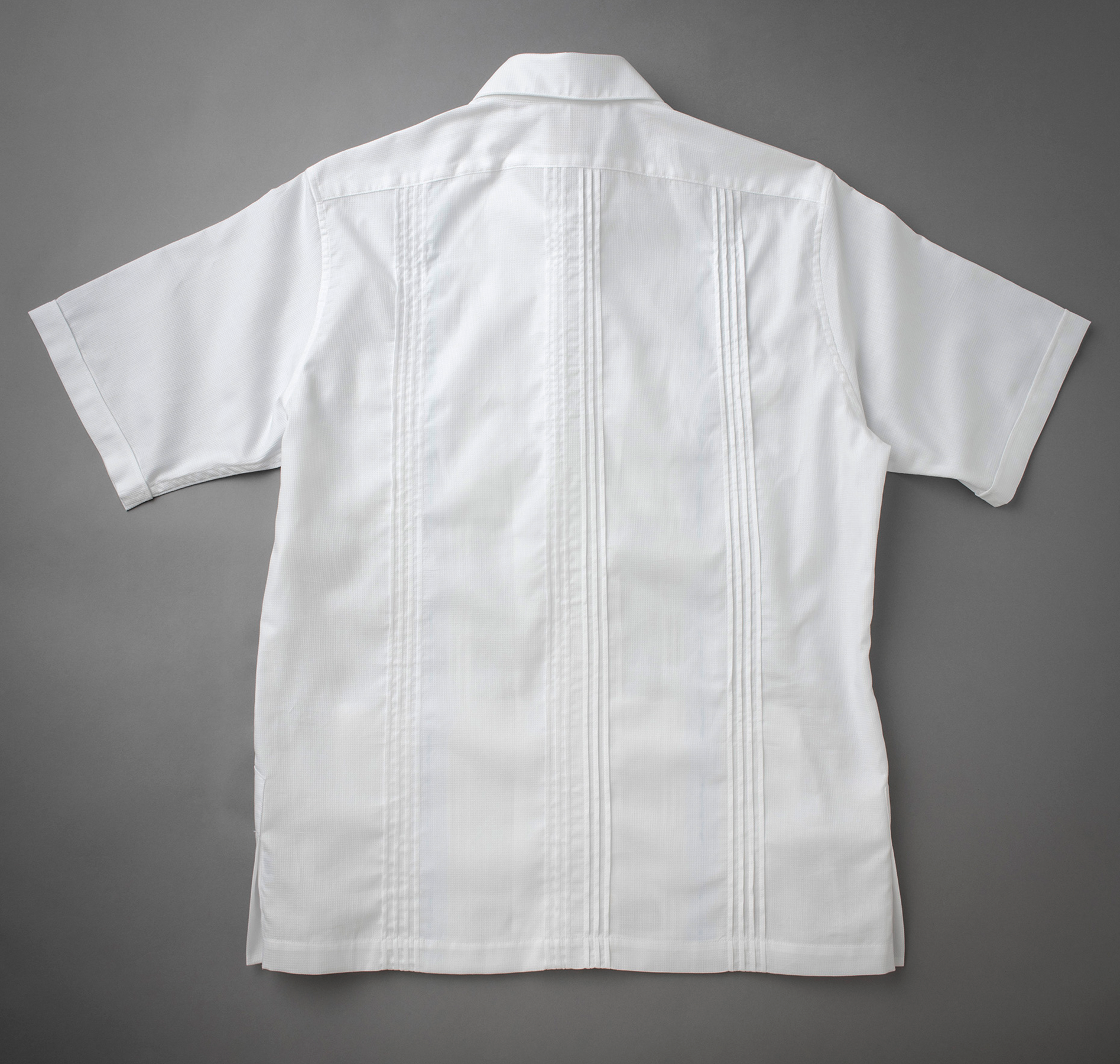 Back showing center and side pleats